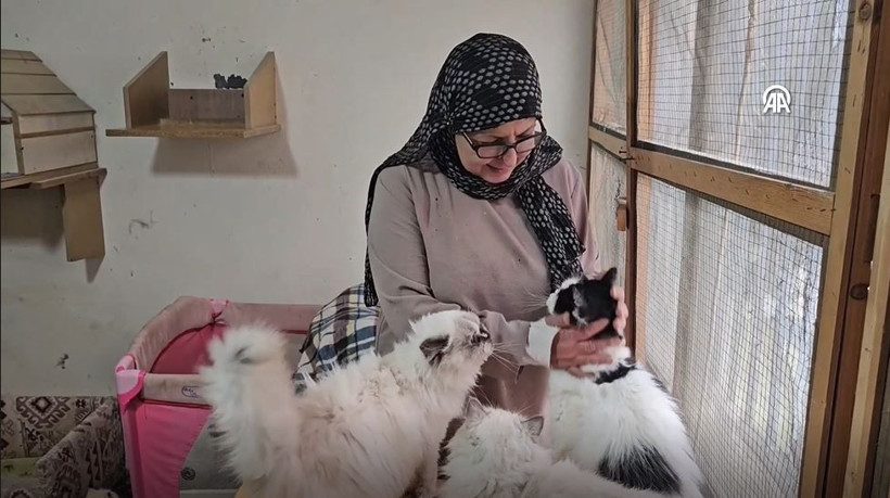 beyrutun kedi kadini 70 kediye yuva acti savas ve krizde bile terk etmedi 8 ht3AHuhm