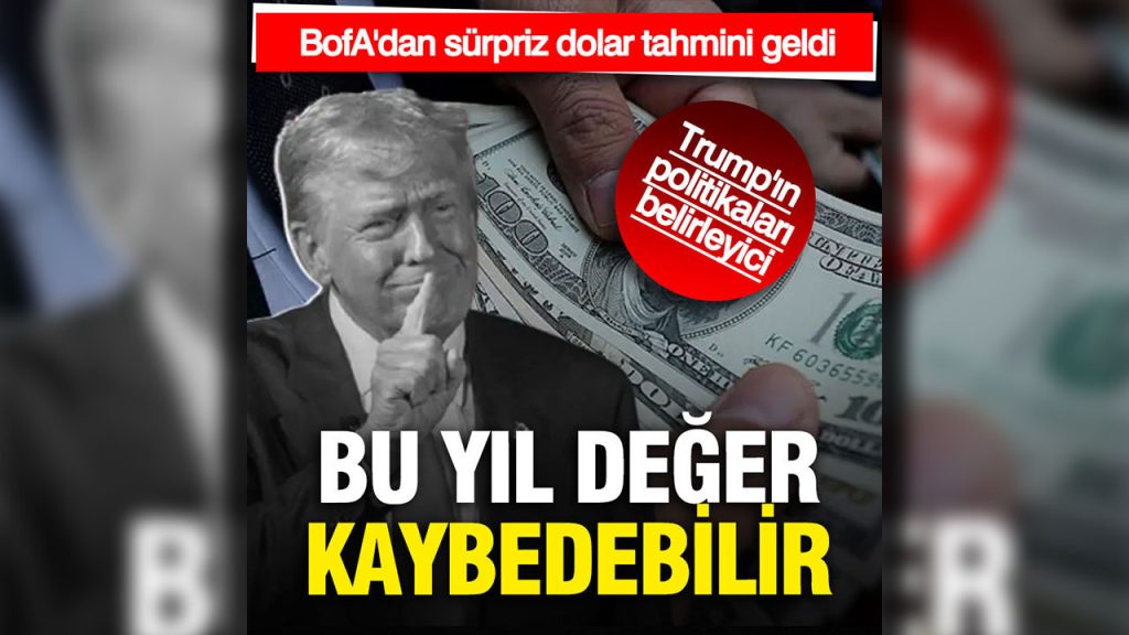 bofadan kritik dolar uyarisi deger kaybedebilir Gne8TAWM