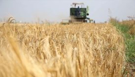 ciftcilere kredi soku yeni duzenleme hayata gecti QGQuaVlC