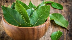 cuzdani dolu tutmanin sirri defne yapragi parayi miknatis gibi ceksin TXT14Bb9