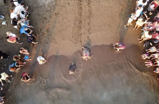 denizlerin gezgini tubadan 5 ayda tarihi rekor 10 zNFPgZaL