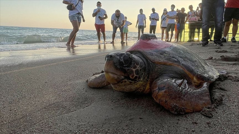 denizlerin gezgini tubadan 5 ayda tarihi rekor 2 yVWSSljL