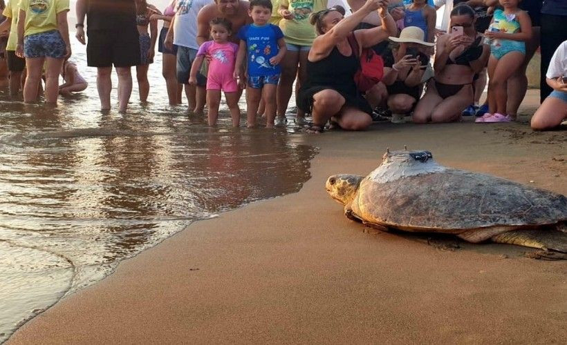 denizlerin gezgini tubadan 5 ayda tarihi rekor 3 VFCvHbku