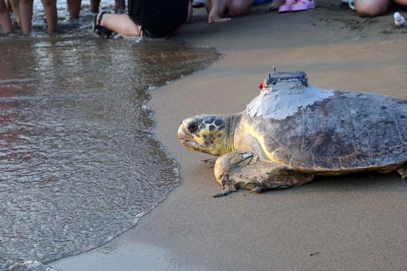 denizlerin gezgini tubadan 5 ayda tarihi rekor 4 flMqaca5