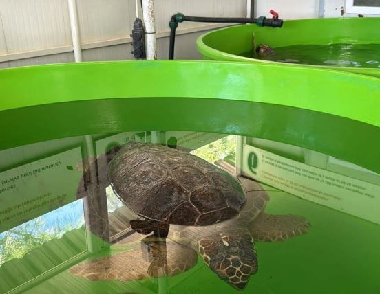 denizlerin gezgini tubadan 5 ayda tarihi rekor 5 p1tfsCcw