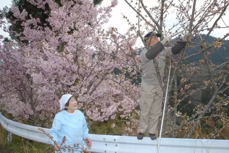 dunyada en uzun yasam suresi olan ulkeler aciklandi turkiyenin siralamadaki yeri sasirtti 3 lNFYwMOu