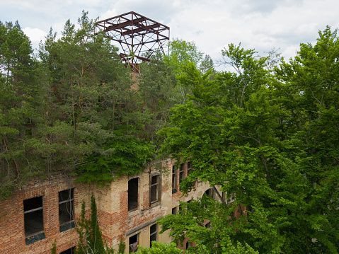 dunyanin en karanlik hastanesi hitlerin odasindan katillerin av sahasina 5 vFiYq13P