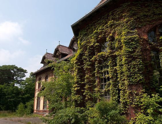 dunyanin en karanlik hastanesi hitlerin odasindan katillerin av sahasina 8 hCiuTcU1