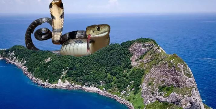 dunyanin en tehlikeli kara parcasi ayak basan son nefesini veriyor 11 1N6WD7Fy