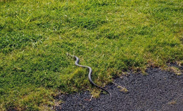 dunyanin en tehlikeli kara parcasi ayak basan son nefesini veriyor 6 DRIRC7cu