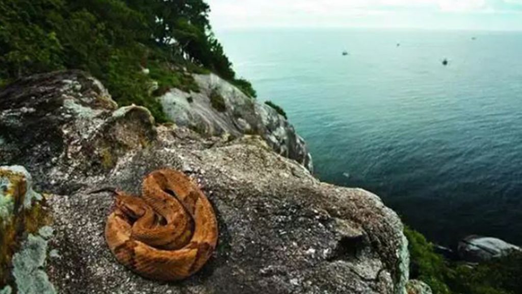 dunyanin en tehlikeli kara parcasi ayak basan son nefesini veriyor P1lxa53m