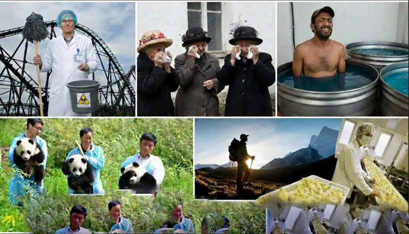 dunyanin en tuhaf meslekleri aciklandi bu isleri yapanlar var mi uyku testcisinden penguen sayiciya T5ZI5b7A