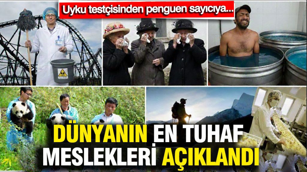 dunyanin en tuhaf meslekleri aciklandi bu isleri yapanlar var mi uyku testcisinden penguen sayiciya plwjOSub
