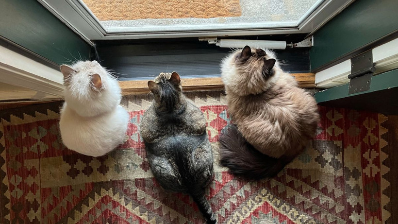 dunyanin enleri aciklandi bu listeyi gorunce vay be demeden duramayacaksiniz 15 e31wX1mw