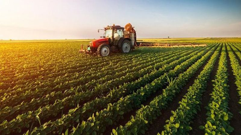 en fazla hibe destegi alan sehirler belli oldu 2 tdr8QXST