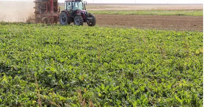 en fazla hibe destegi alan sehirler belli oldu 3 7n2FEW6v