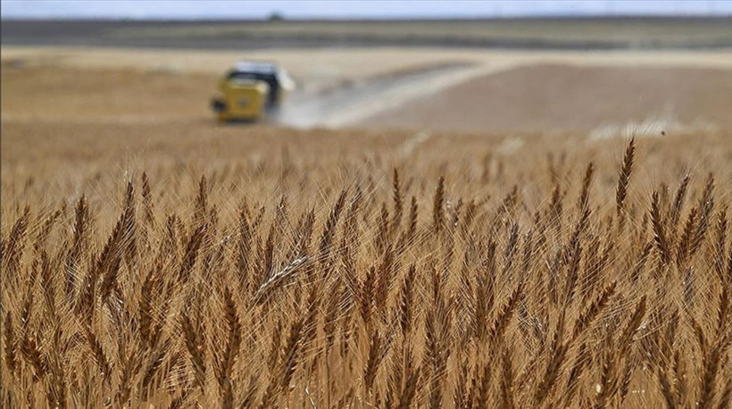 en fazla hibe destegi alan sehirler belli oldu 4 MqnryiaO