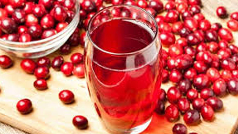 enfeksiyonlara karsi dogadan gelen sifa kizilcik serbeti 0 ldvTU7jJ