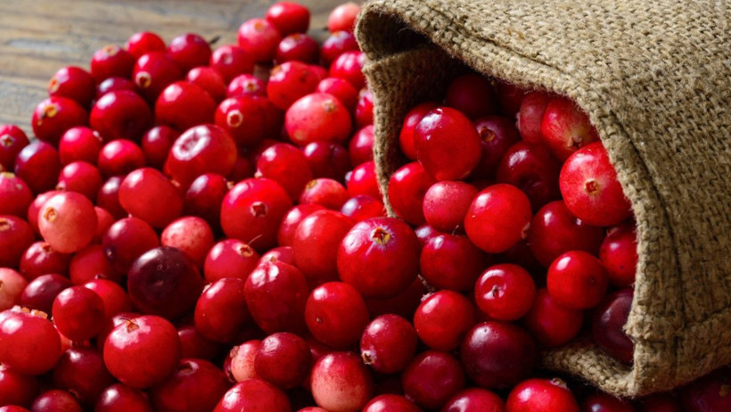 enfeksiyonlara karsi dogadan gelen sifa kizilcik serbeti 2 WLiVcjRg