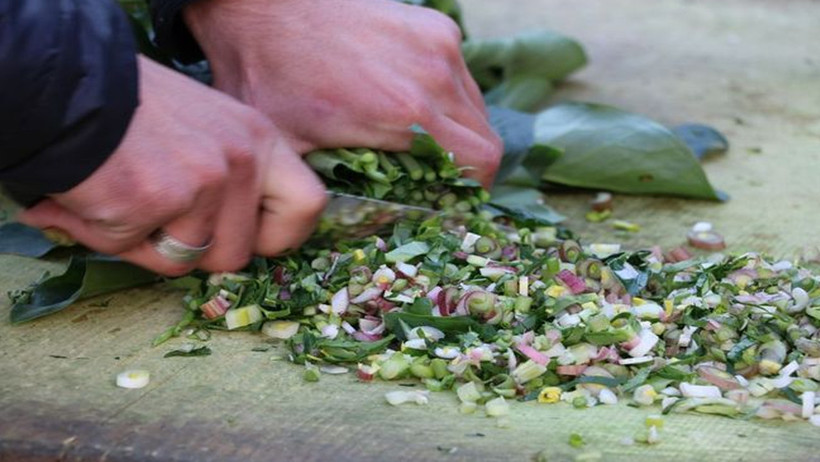 gavur dagindan sofralara tirsik corbasinin gizemi 1 RdYhDvPb