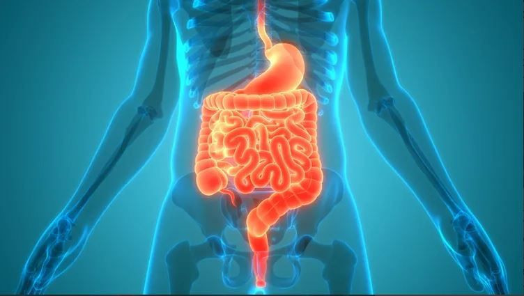 genclerde kolon kanseri alarmi neden artiyor iste bagirsaklarin en iyi dostlari 4 6YZQjmk3