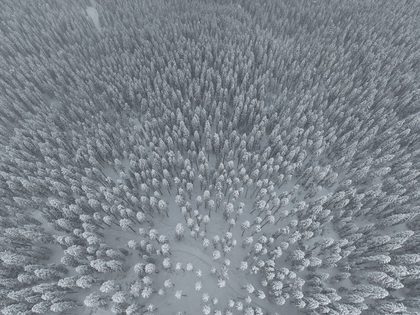 gokyuzunden ilgaz manzaralari sis ve karin muhtesem dansi 1 ARhRbU3k