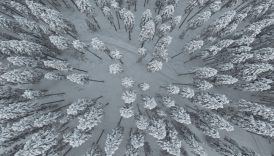 gokyuzunden ilgaz manzaralari sis ve karin muhtesem dansi I4ttVla2