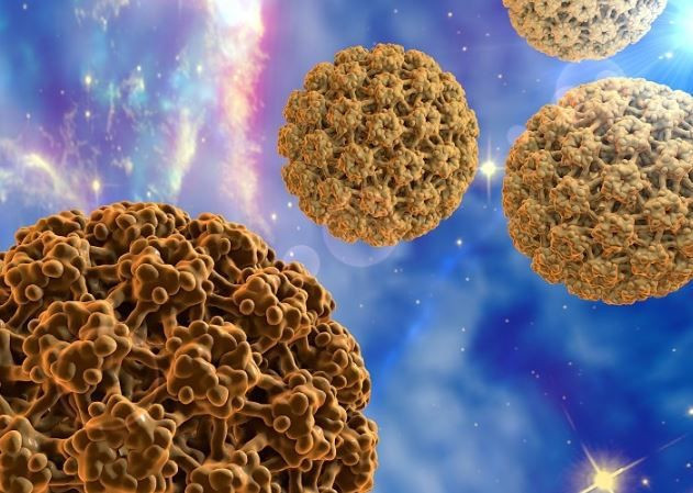 hpv nedir hpv virusu nasil bulasir belirtileri ve korunma yollari 4 RjwJK8pI