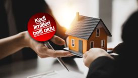 ilk kez konut alacaklar ne kadar konut kredisi cekebilir lFPhsgHy