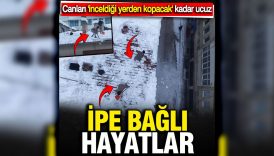 İpe bağlı hayatlar... Türkiye'de işçilerin canı 'inceldiği yerden kopacak' kadar ucuz 2 ipe bagli hayatlar turkiyede iscilerin cani inceldigi yerden kopacak kadar ucuz Vin8FjVp