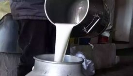 isletmelerin topladigi sut miktari azaldi 2N4ev4O9