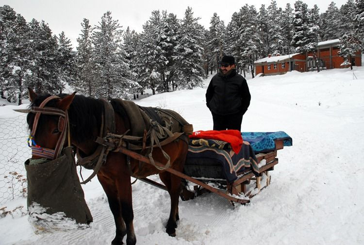 juriyi soke eden cocuk 14 yasinda sohret kapisini aralayan burhan cacanin acisi hale taze TcDtLqWE