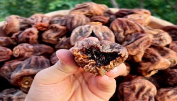 karadenizin altin meyvesi cennet hurmasinin faydalari RDa2byzt