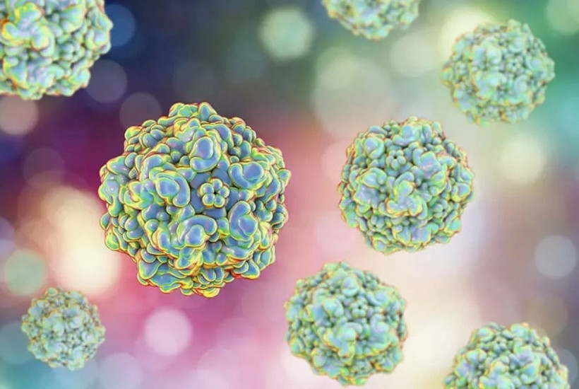 kisin yeni dusmani bocavirus cocuklari tehdit ediyor atesle baslayip olume gidiyor 10 ndJNLqSt