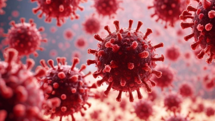 kisin yeni dusmani bocavirus cocuklari tehdit ediyor atesle baslayip olume gidiyor 17 GIwThdNZ