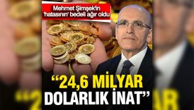 mehmet simsekin 246 milyar dolarlik hatasi altin kotasinin maliyeti 49me1p8N