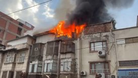 muhtar isyan etti onlarda allahin kullariydi 150 guvercin telef oldu 4Ee67cPS