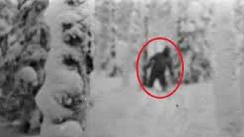 olum dagindaki sir cadirlarini yirtarak olume kosan dagcilarin gizemi 0 4PJCHUeT