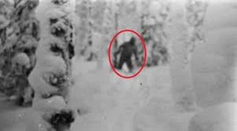 olum dagindaki sir cadirlarini yirtarak olume kosan dagcilarin gizemi 11 9c8Fa6eU