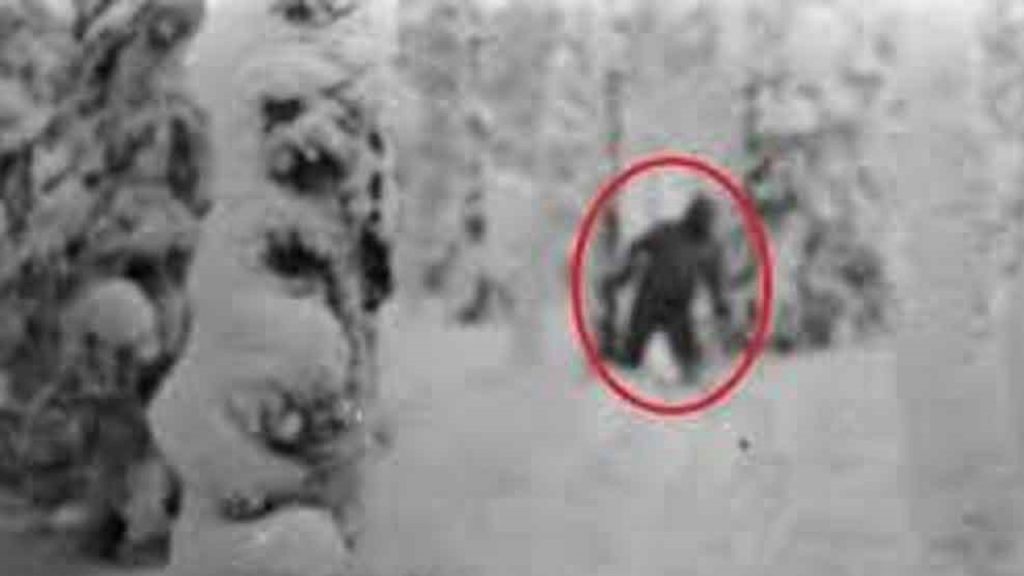 olum dagindaki sir cadirlarini yirtarak olume kosan dagcilarin gizemi 7QuTzxLT