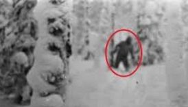 olum dagindaki sir cadirlarini yirtarak olume kosan dagcilarin gizemi 7QuTzxLT