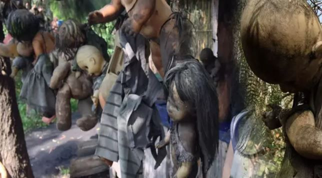 ruhlari saklayan adanin olumcul sirri bebeklerin sessiz nobeti 0 e7WUcdOj