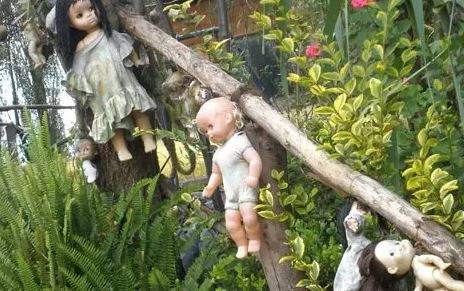 ruhlari saklayan adanin olumcul sirri bebeklerin sessiz nobeti 4 8HfSDs4P