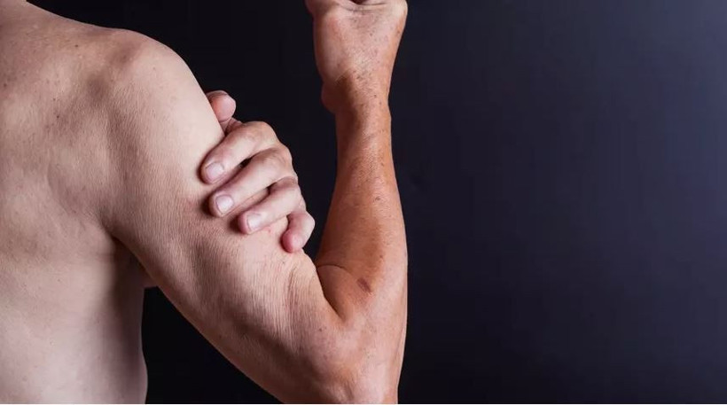 sarkopeni kabusuna son kaslarinizi kaybetmeyin 30dan sonra guclu kalmanin gizli formulu 12 SnRvCSOR