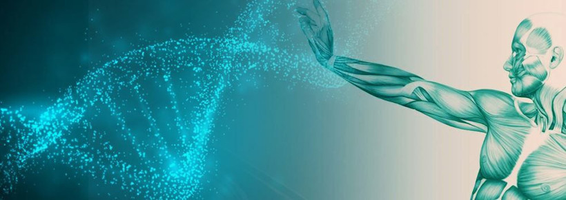 sarkopeni kabusuna son kaslarinizi kaybetmeyin 30dan sonra guclu kalmanin gizli formulu 5 wi1J1IIW