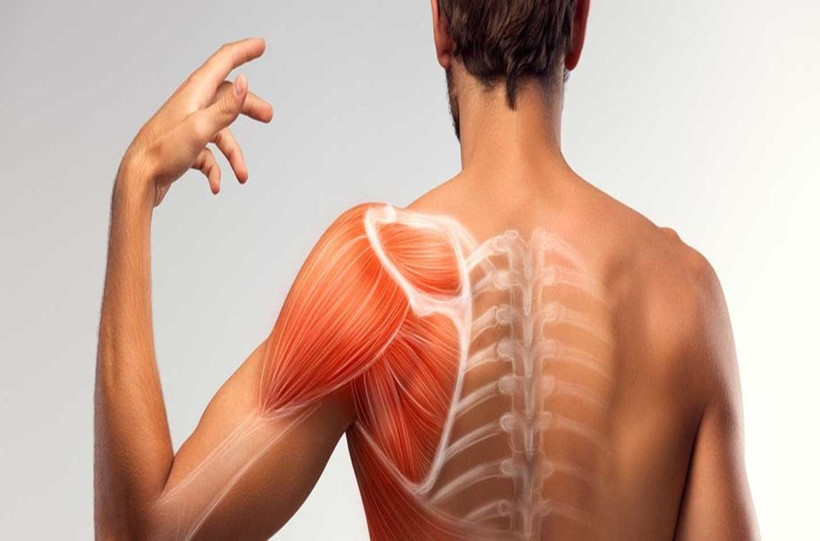 sarkopeni kabusuna son kaslarinizi kaybetmeyin 30dan sonra guclu kalmanin gizli formulu 9 wJ9JpKJN