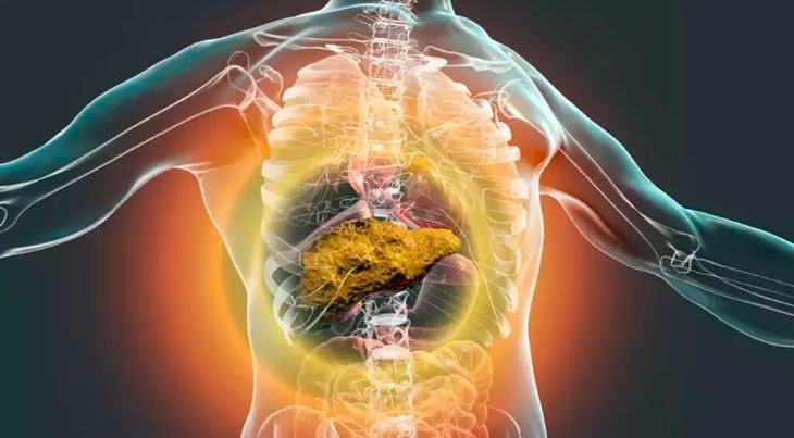 sirozun gizli tehlikesi ortaya cikti alkolu birakmazsaniz geri donulmez oluyor 2 zqdv6tVU