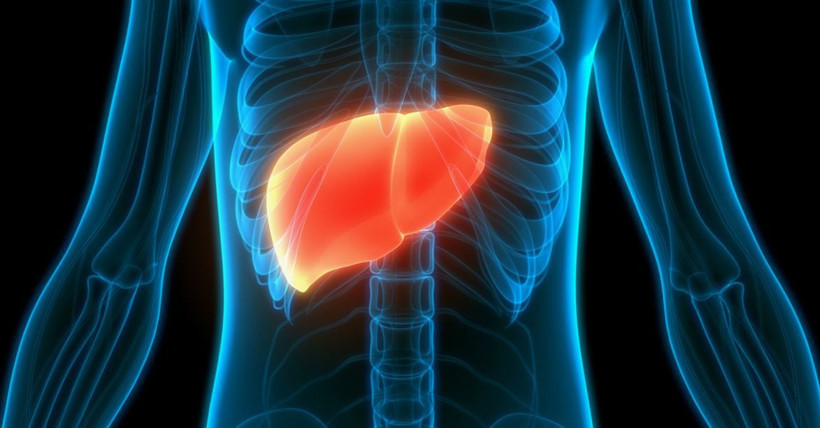 sirozun gizli tehlikesi ortaya cikti alkolu birakmazsaniz geri donulmez oluyor 7 5dYrCmFD