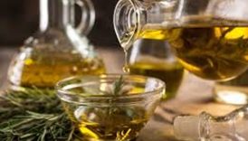 tabaginizdaki gizli anahtar bilim dunyasindan kritik recete IafPLnna