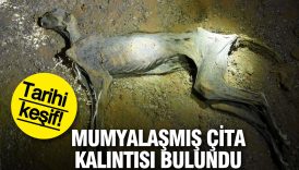 tarihi kesif mumyalasmis cita kalintisi bulundu K8uYLi9x